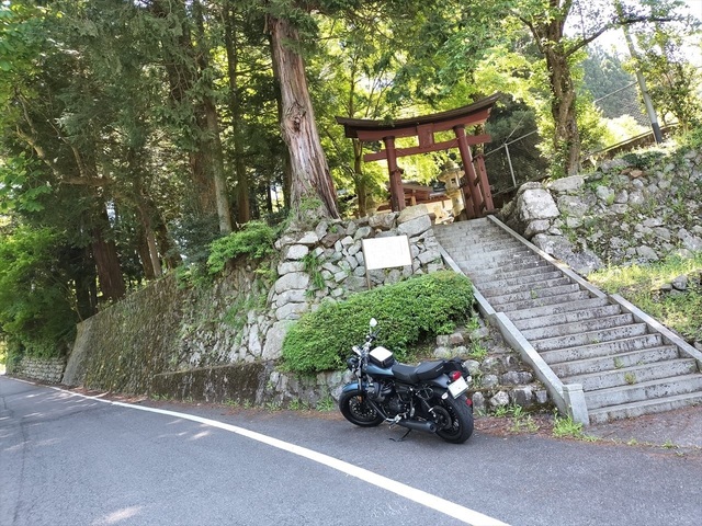 IMG20230504103117_Ra.jpg