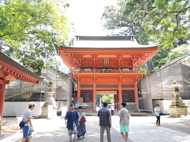 IMG20230723104649_Ra.jpg