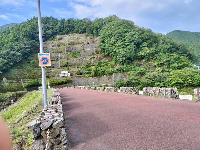 IMG20240823070102_Ra.jpg