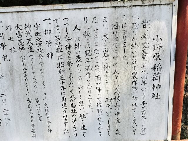 IMG20240823083006_Ra.jpg