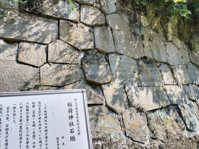 IMG20240823083116_Ra.jpg