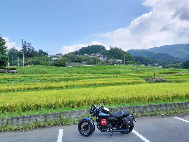 IMG20240823100101_Ra.jpg