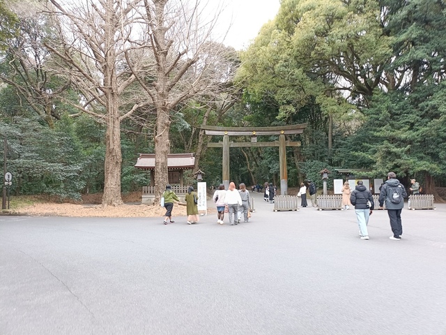 IMG20250315134153.jpg